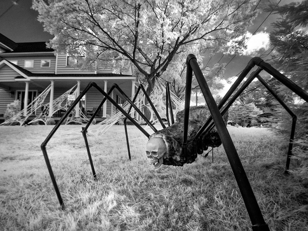 Giant halloween spider on house lawn