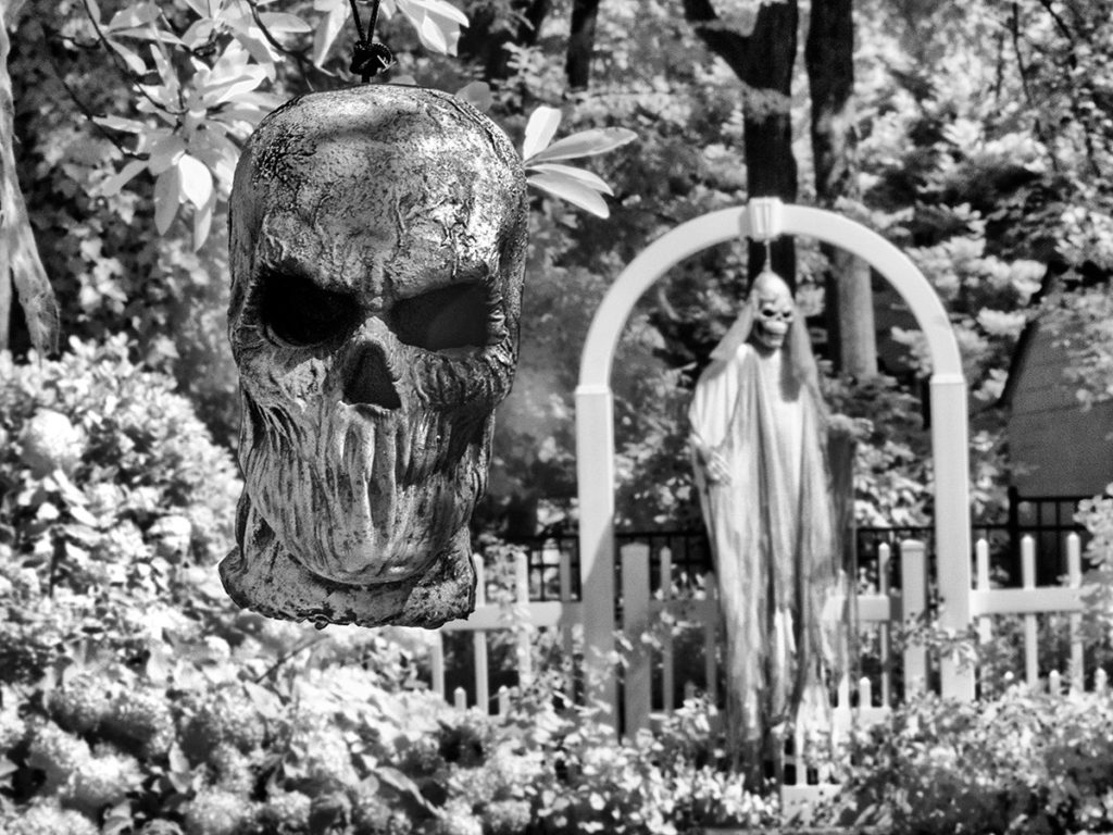 Skulls and ghouls in a Halloween garden