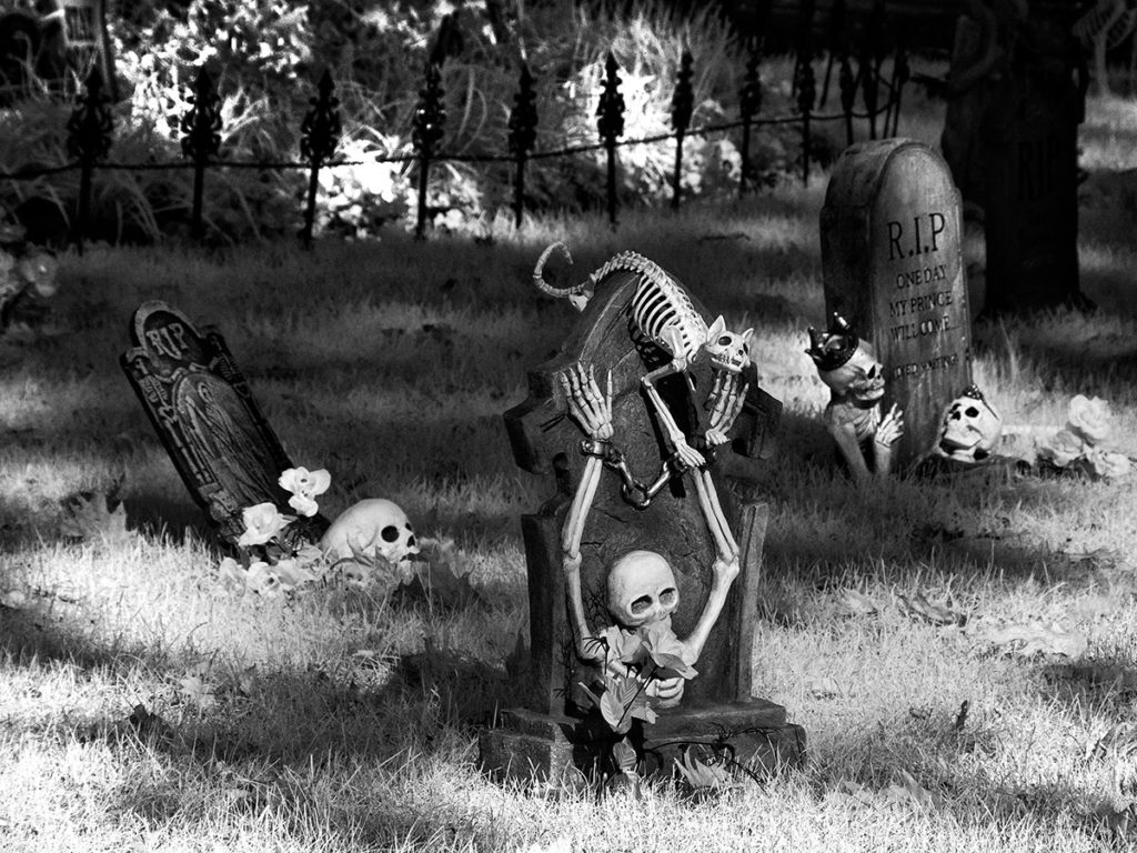 Animal skeleton crawling on gravestone