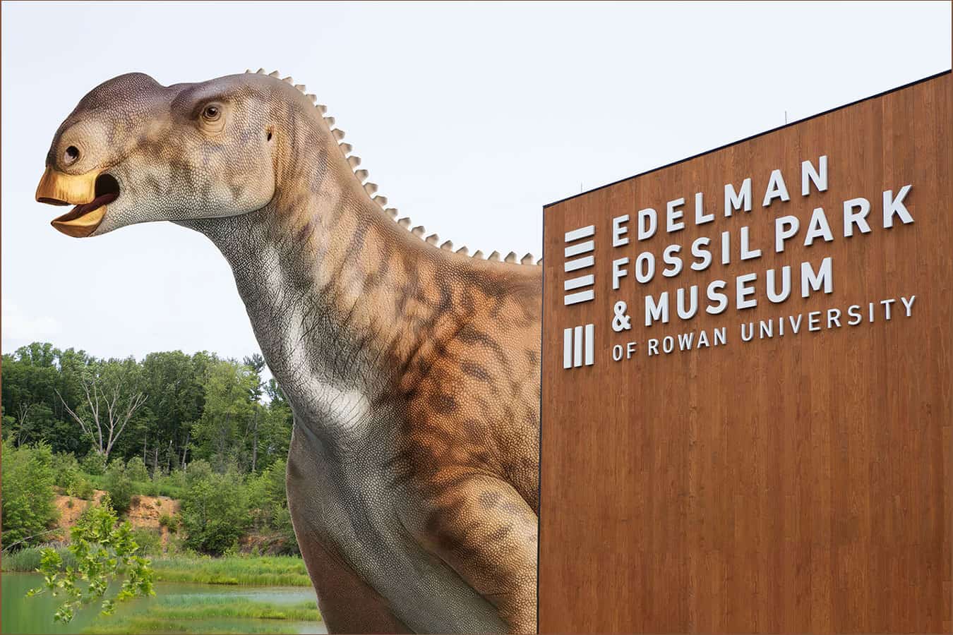 A Cretaceous South Jersey Sea Bottom Turned Into a Modern Day