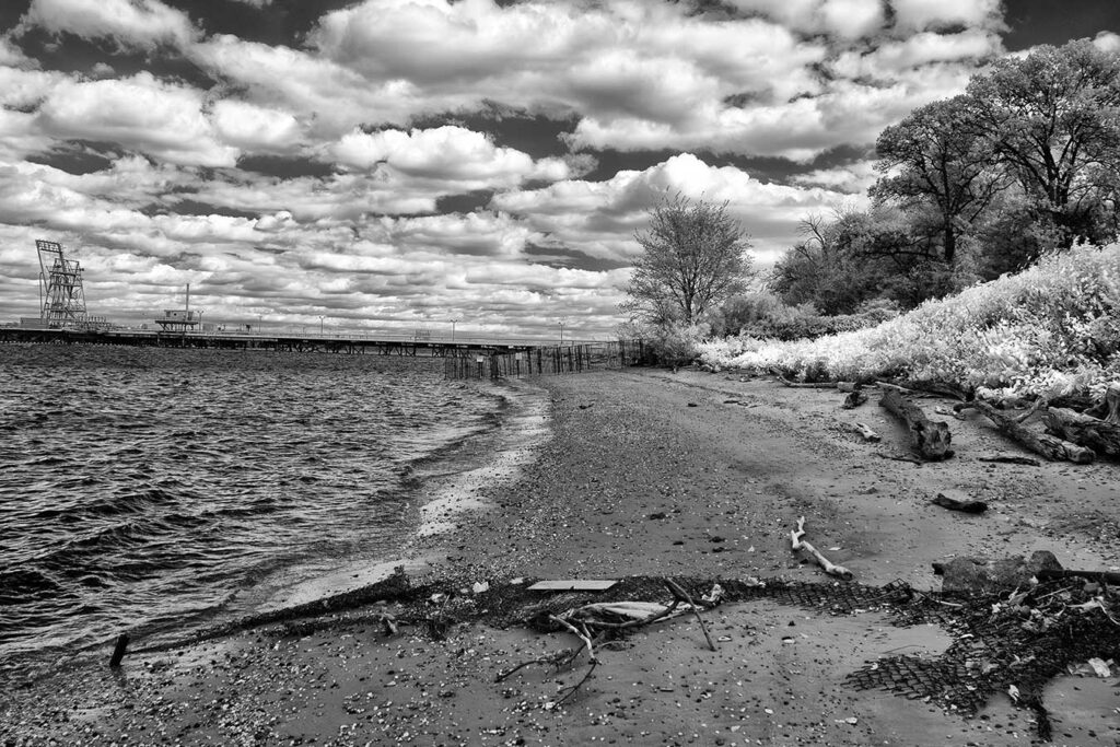 The Delaware River shoreline is littered with marine flotsam and jetsam thrown up by storms.