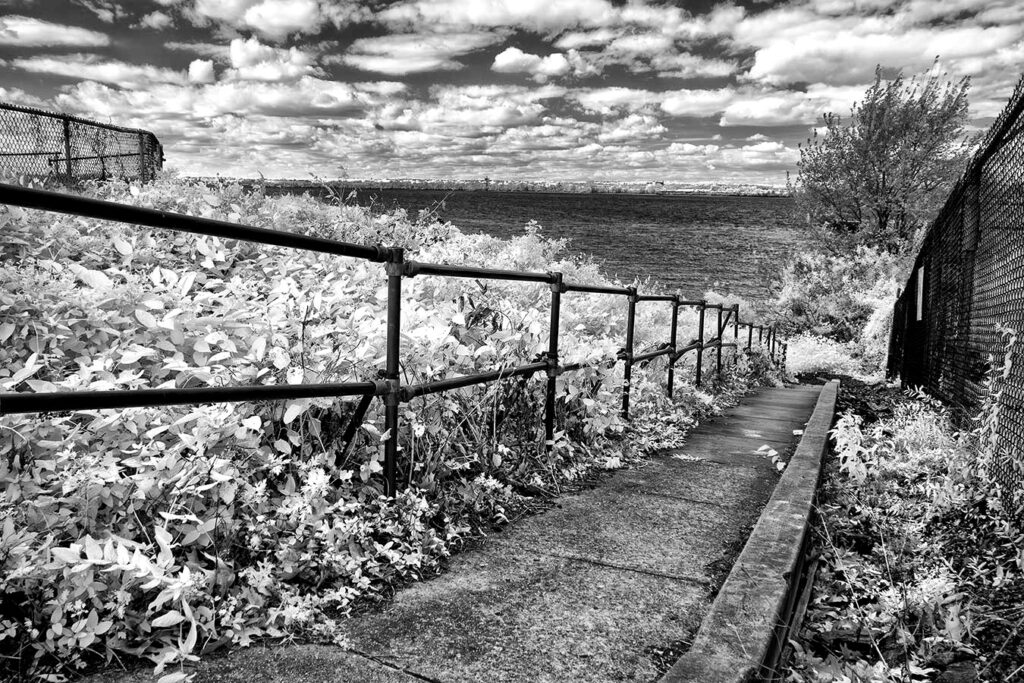 Stairway down the overgrown incline leading to the Delaware River shoreline in Paulsboro, NJ.